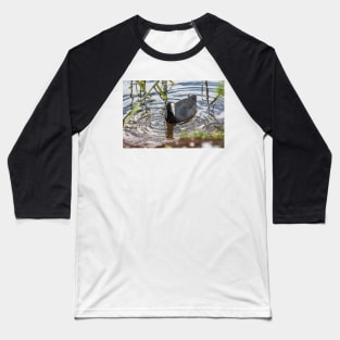 Hawaiian coot of Honolulu 2 Baseball T-Shirt